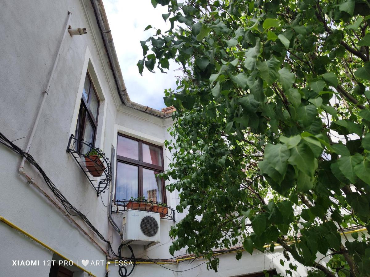 Apartament Buon Gusto,Near Main Square And Liar Bridge,Historical Side Of City Center Nagyszeben Kültér fotó