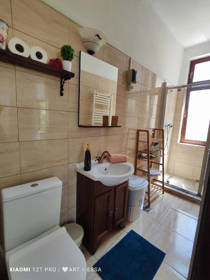 Apartament Buon Gusto,Near Main Square And Liar Bridge,Historical Side Of City Center Nagyszeben Kültér fotó
